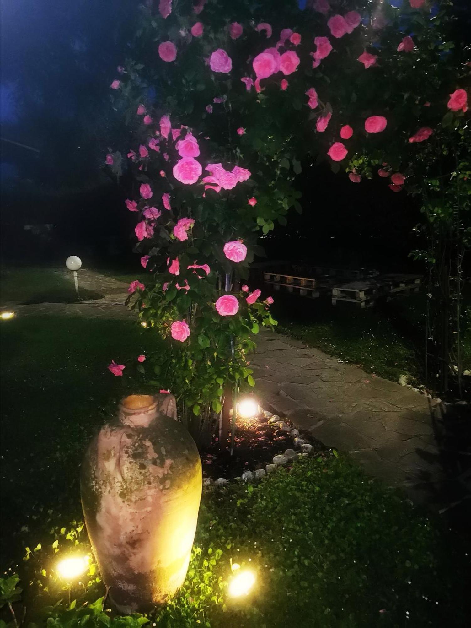 Acquachiara Iseo Deluxe Bed & Breakfast Iseo Center With Garden And Parking Inside Foresteria 객실 사진